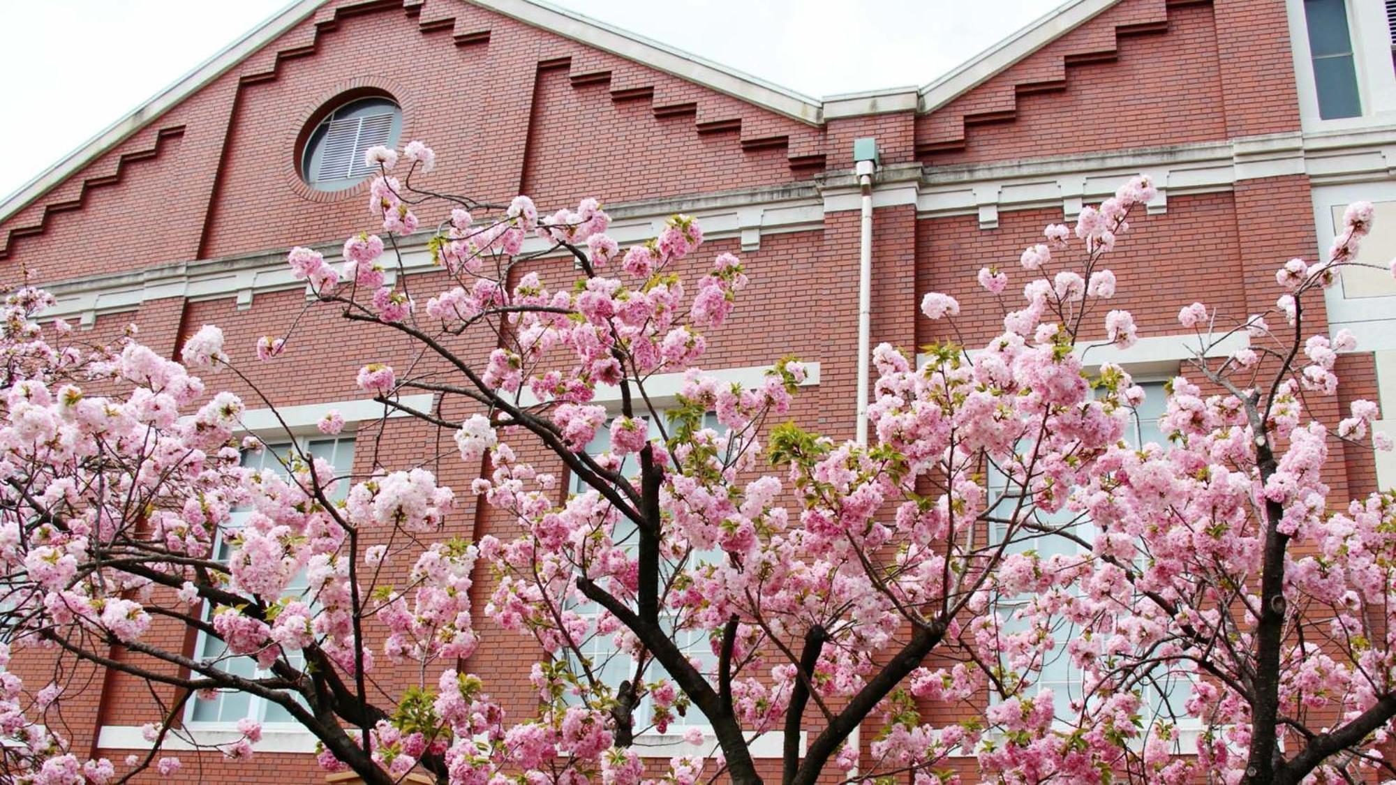 Toyoko Inn Osaka Kyobashi Sakuranomiya Ngoại thất bức ảnh